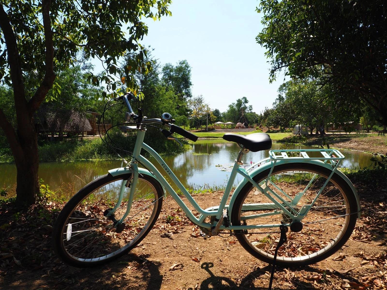 Nature cycling trail along the pond