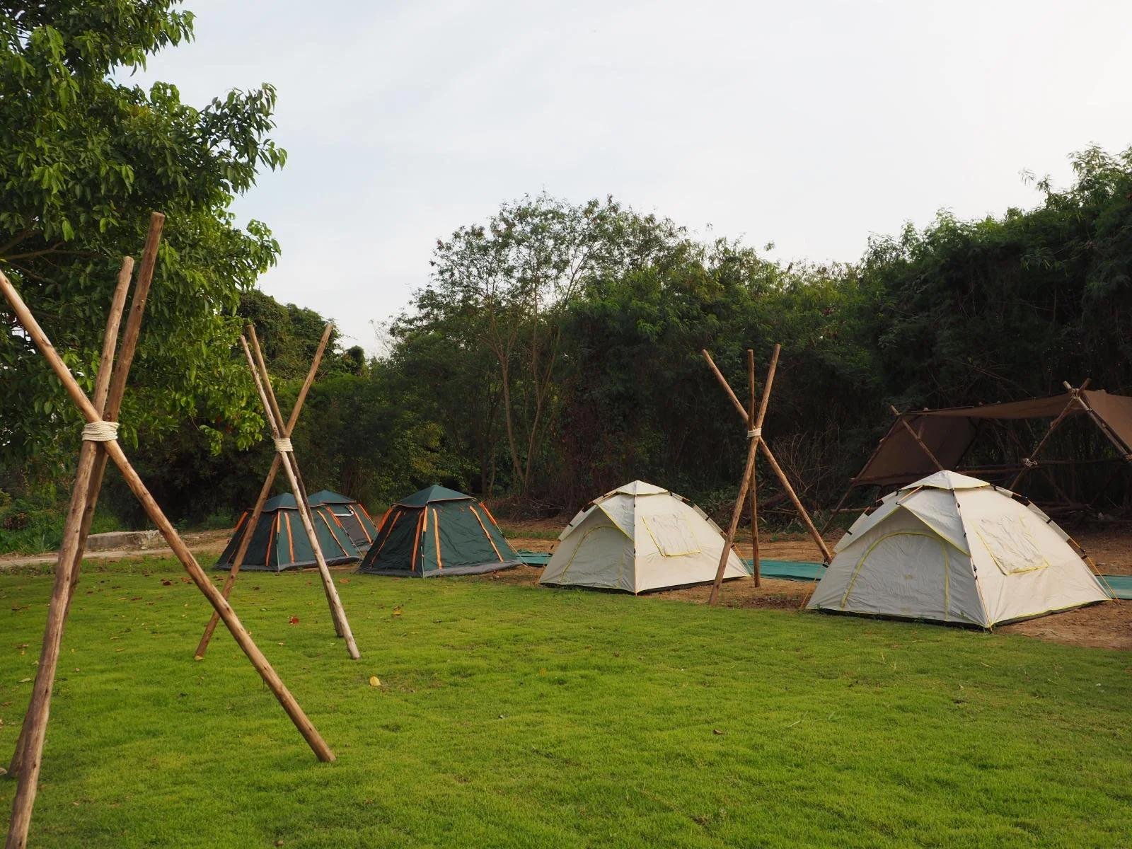 Safari camping under starry skies