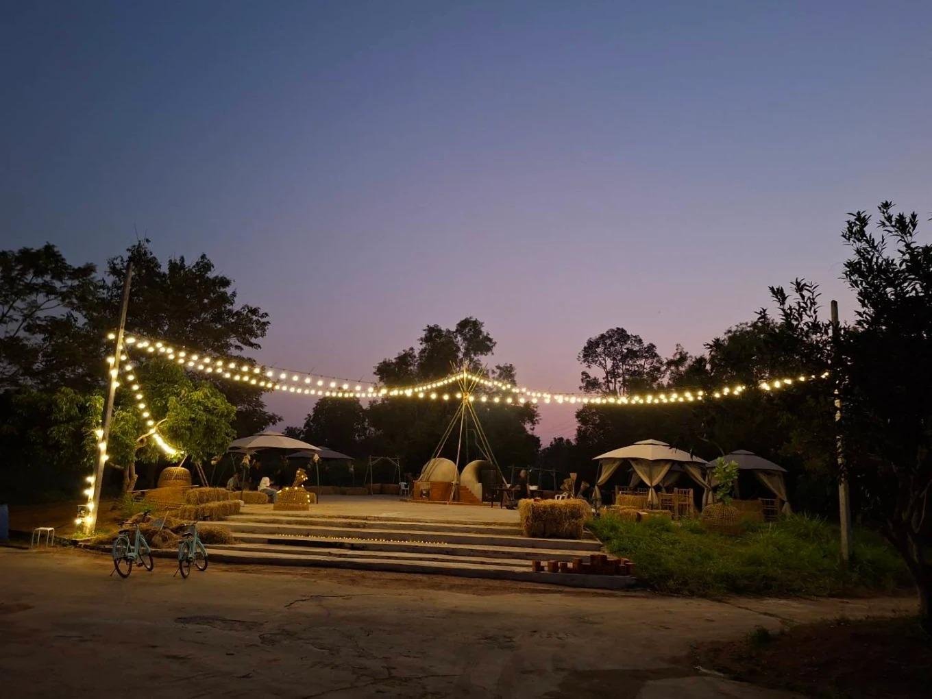 Warm evening lights and gathering atmosphere