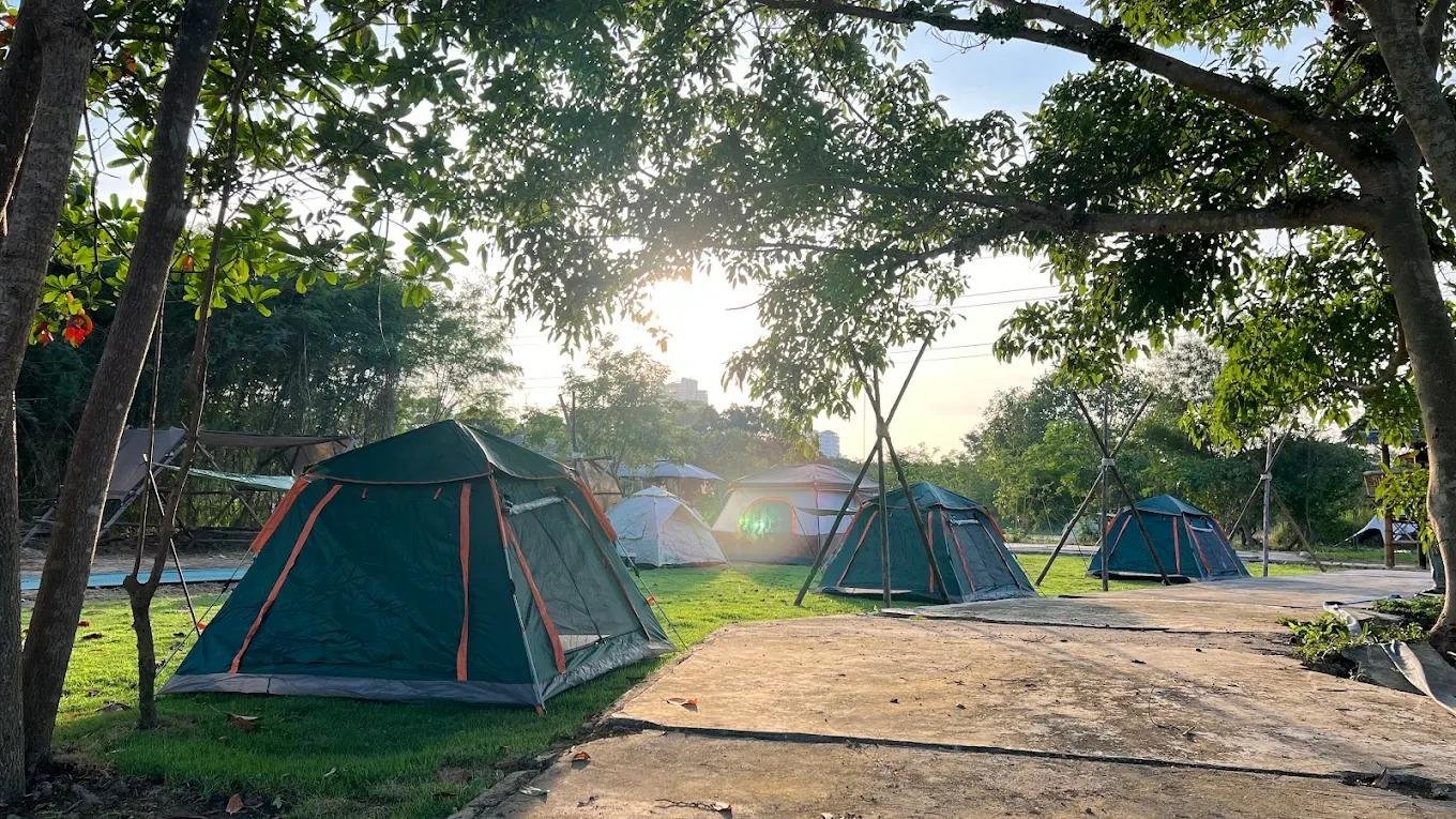 Morning sunshine streaming through forest trees over camping tents